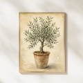 Zeytin Ağacı Posteri